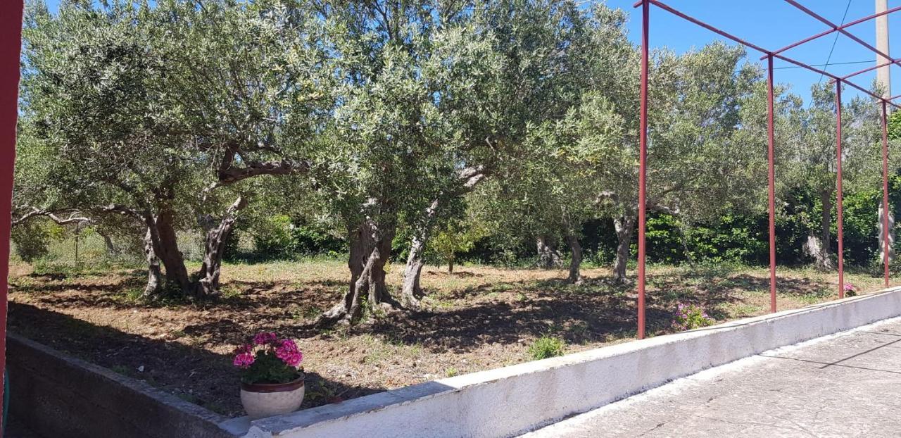 Villa Andrea Scopello (Sicily)